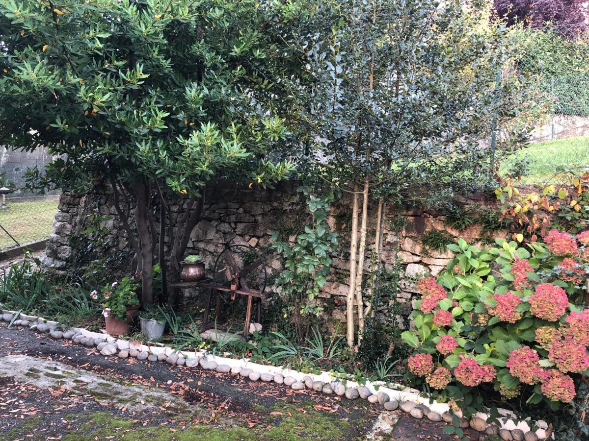 La Casa Verde B&B Trivero エクステリア 写真